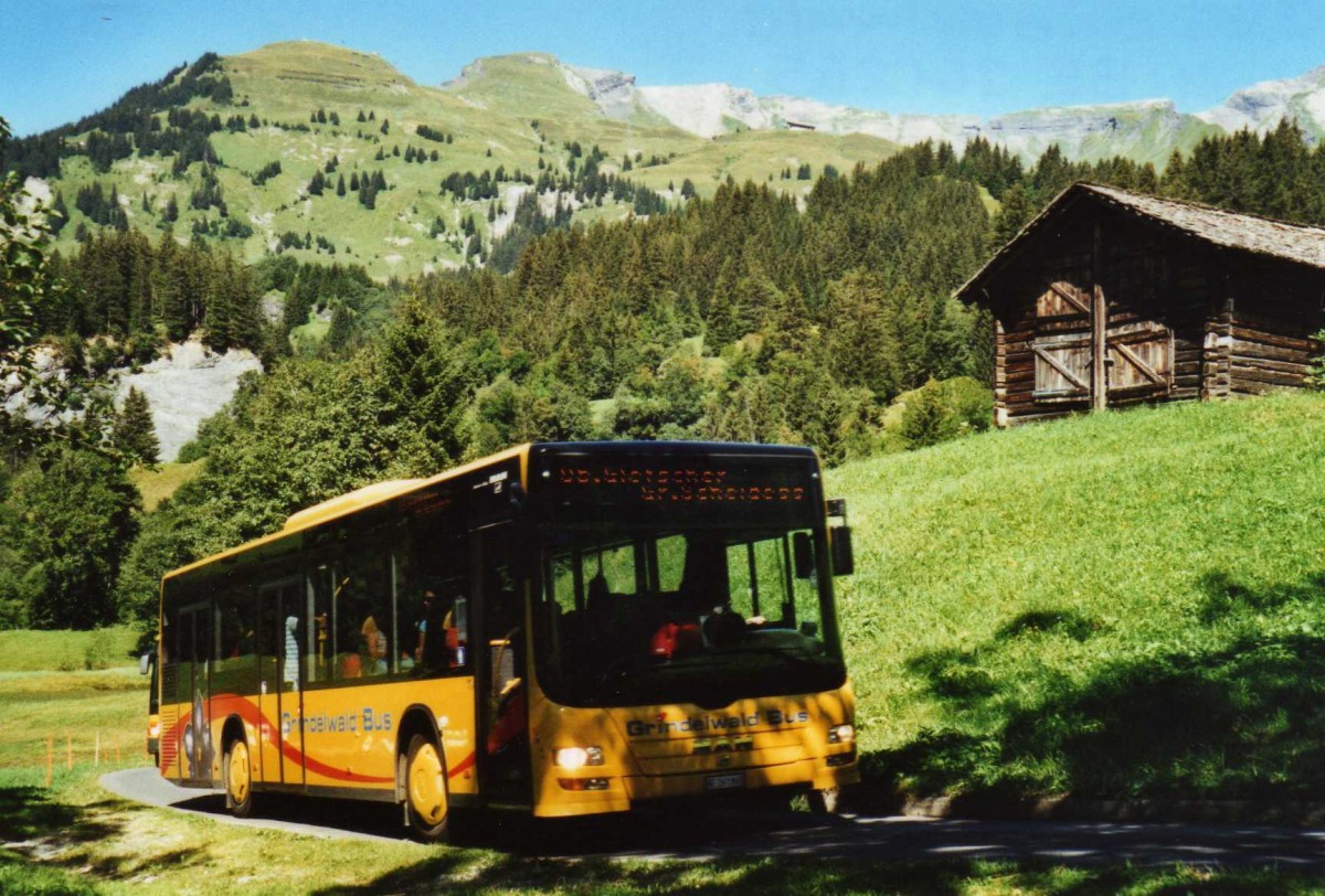 (120'317) - AVG Grindelwald - Nr. 11/BE 261'865 - MAN/Gppel am 23. August 2009 in Grindelwald, Schrli