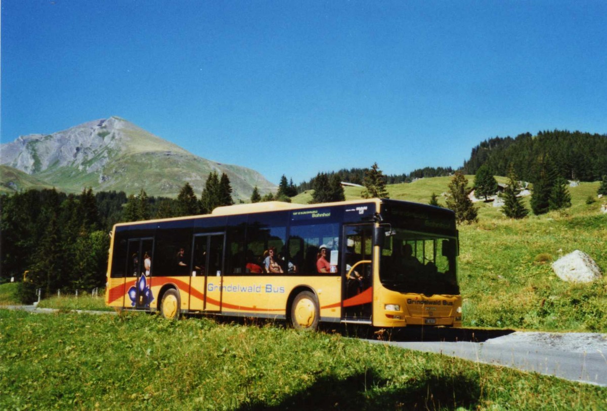 (120'407) - AVG Grindelwald - Nr. 18/BE 382'871 - MAN/Gppel am 23. August 2009 in Grindelwald, Lauchbhl