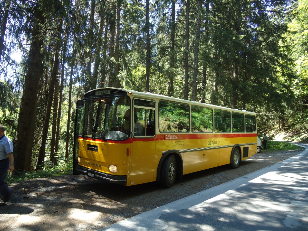 (134'742) - AVG Meiringen - Nr. 74/BE 607'481 - Saurer/R&J (ex P 24'357) am 3. Juli 2011 auf der Strasse Waldspitz-Grindelwald