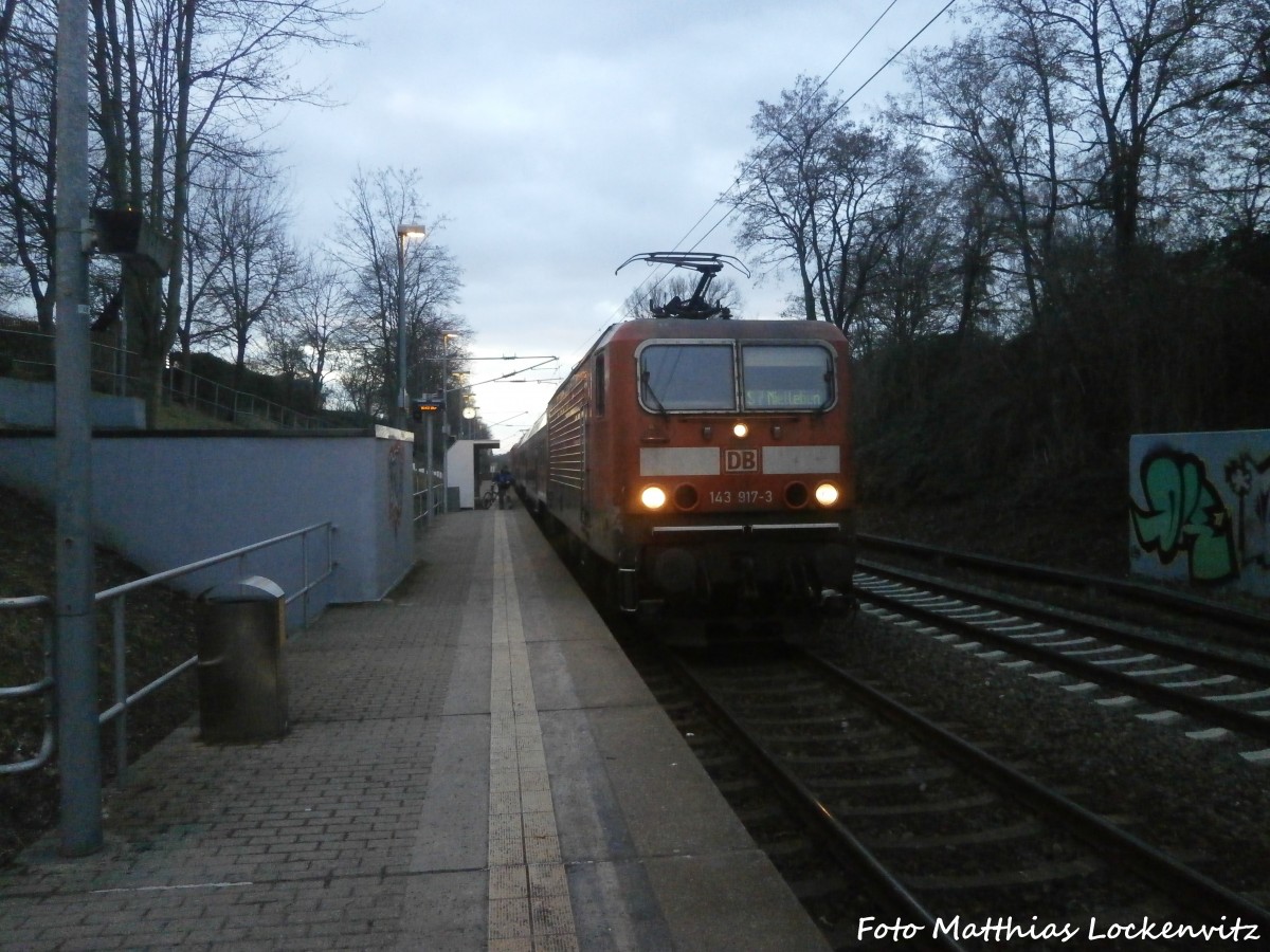 143 917-3 am S-Bahnhof Dessauer Br�cke am 27.1.15
