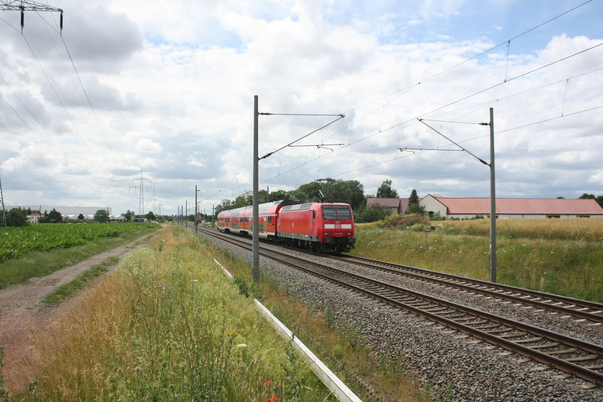 146 008 mit dem RE30 mit Ziel Halle/Saale Hbf unterwegs zwischen Niemberg und z�beritz am 5.7.21