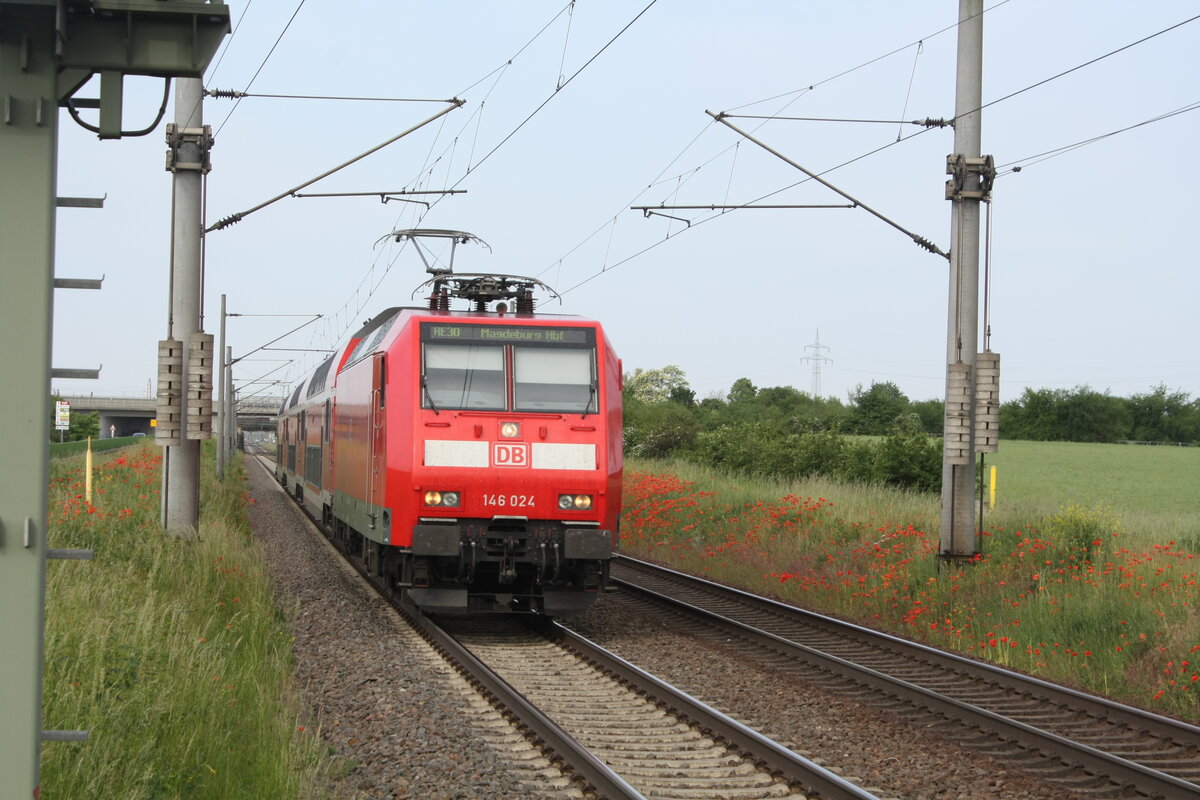 146 024 mit dem RE30 mit ziel Magdeburg Hbf bei der Einfahrt in Z�beritz am 9.6.21