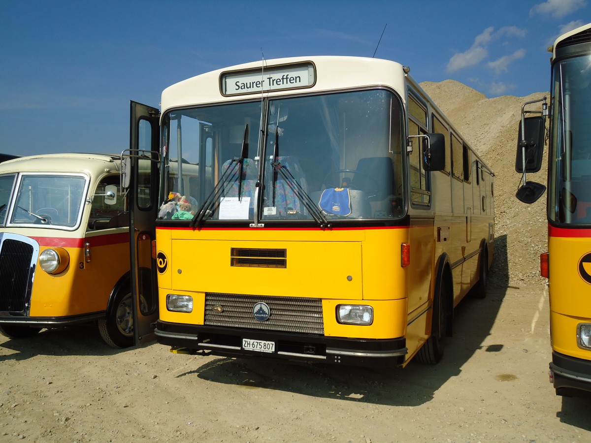 (146'567) - Tiemann, Illnau - Nr. 12/ZH 675'807 - Saurer/R&J (ex Privat; ex Tschannen, Zofingen Nr. 12) am 31. August 2013 in Niederbipp, Saurertreffen