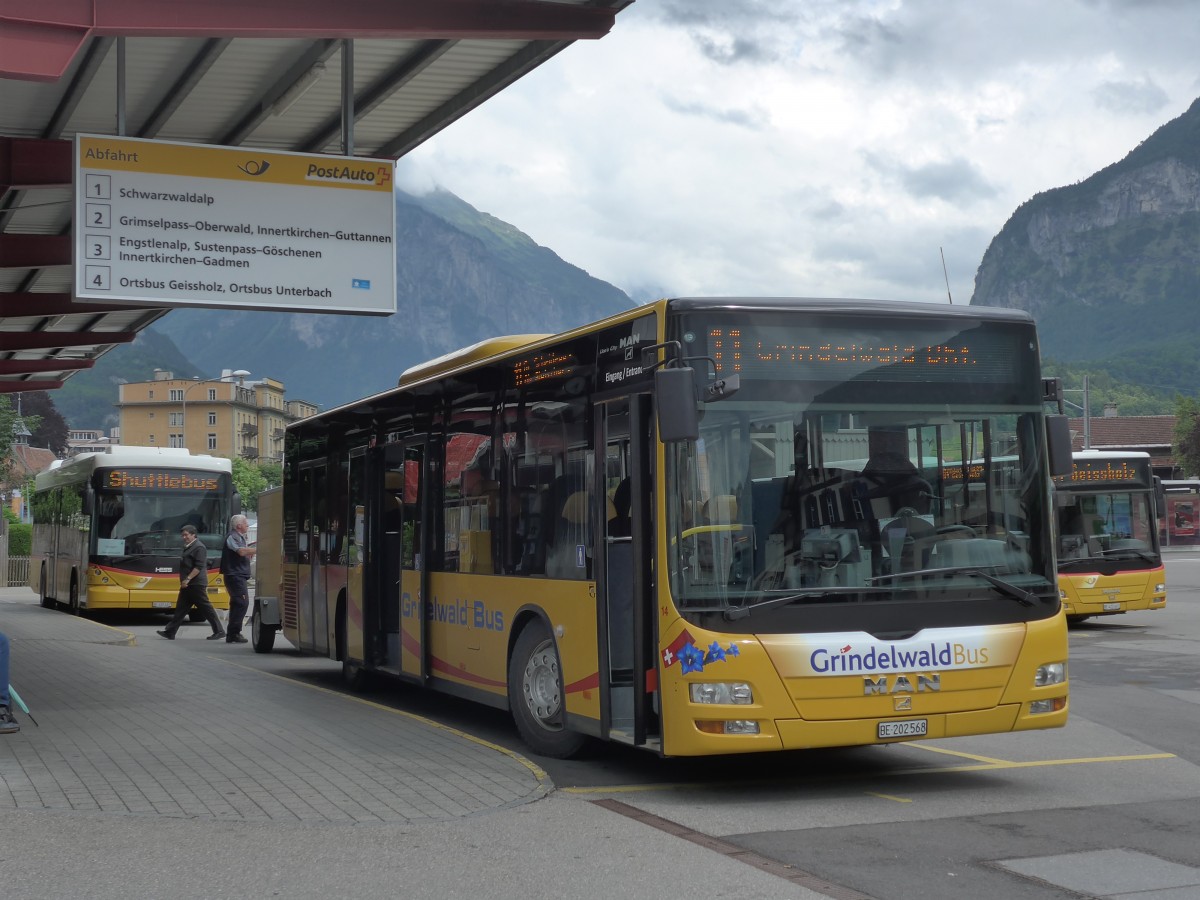 (162'401) - AVG Grindelwald - Nr. 14/BE 202'568 - MAN/G�ppel am 20. Juni 2015 in Meiringen, Postautostation