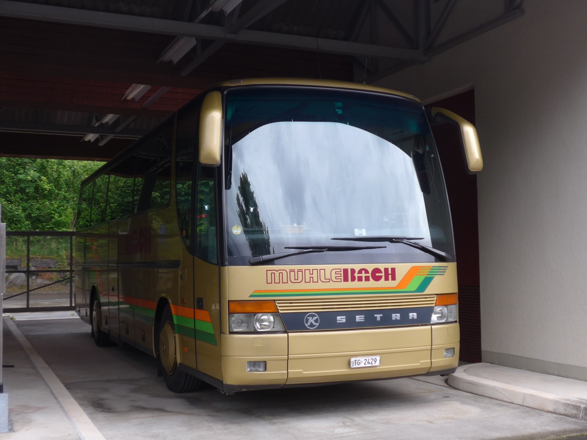 (162'448) - M�hlebach, Frauenfeld - TG 2429 - Setra am 21. Juni 2015 in Meiringen, Balm