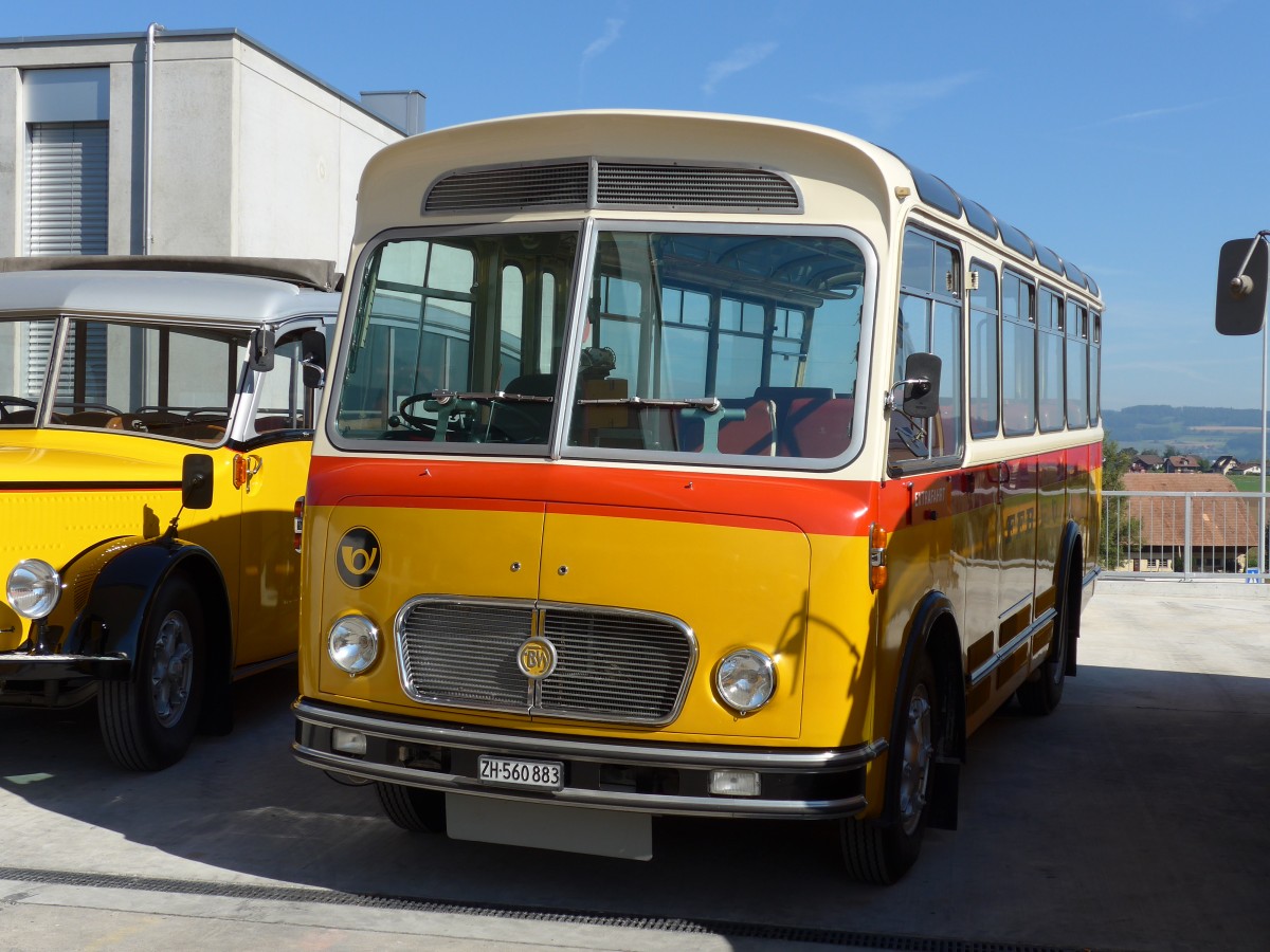 (163'908) - Frutig, Birmensdorf - ZH 560'883 - FBW/FHS (ex P 23'217) am 29. August 2015 in Oberkirch, CAMPUS Sursee