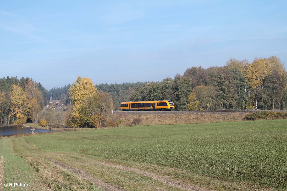 1648 209 als OPB 79722 Regensburg - Marktredwitz bei Oberteich. 01.11.16