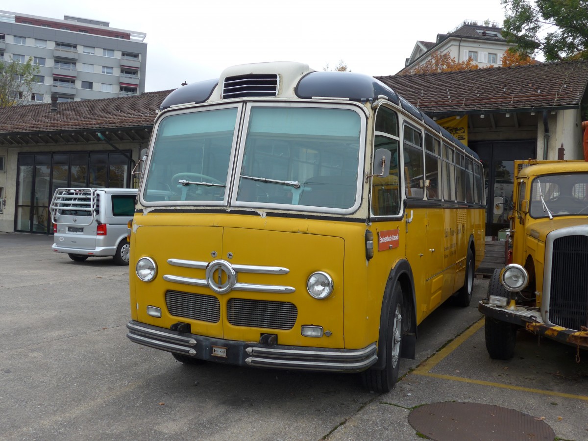 (166'172) - Oldie-Tours Zrisee, Wollerau - Nr. 21 - Saurer/Saurer (ex Marchetti, Airolo; ex P 24'119) am 10. Oktober 2015 in Uznach, Garage