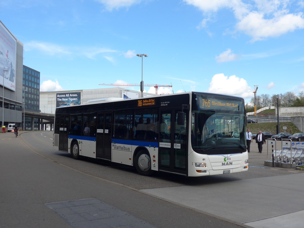 (170'040) - ATE Bus, Effretikon - Nr. 61/ZH 313'805 - MAN am 14. April 2016 in Z�rich, Flughafen