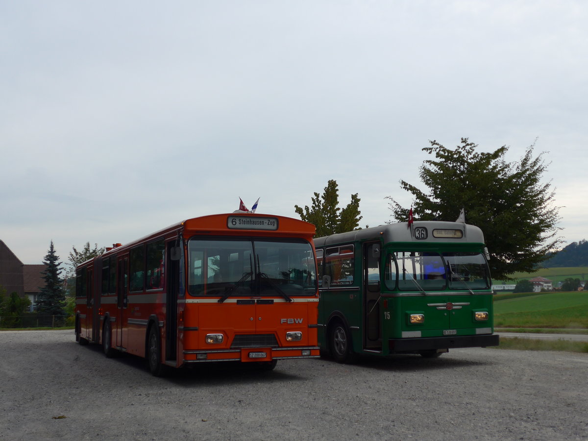 (174'479) - ZVB Zug (RWB) - Nr. 35/SZ 200'067 - FBW/Hess am 4. September 2016 in Hindelbank