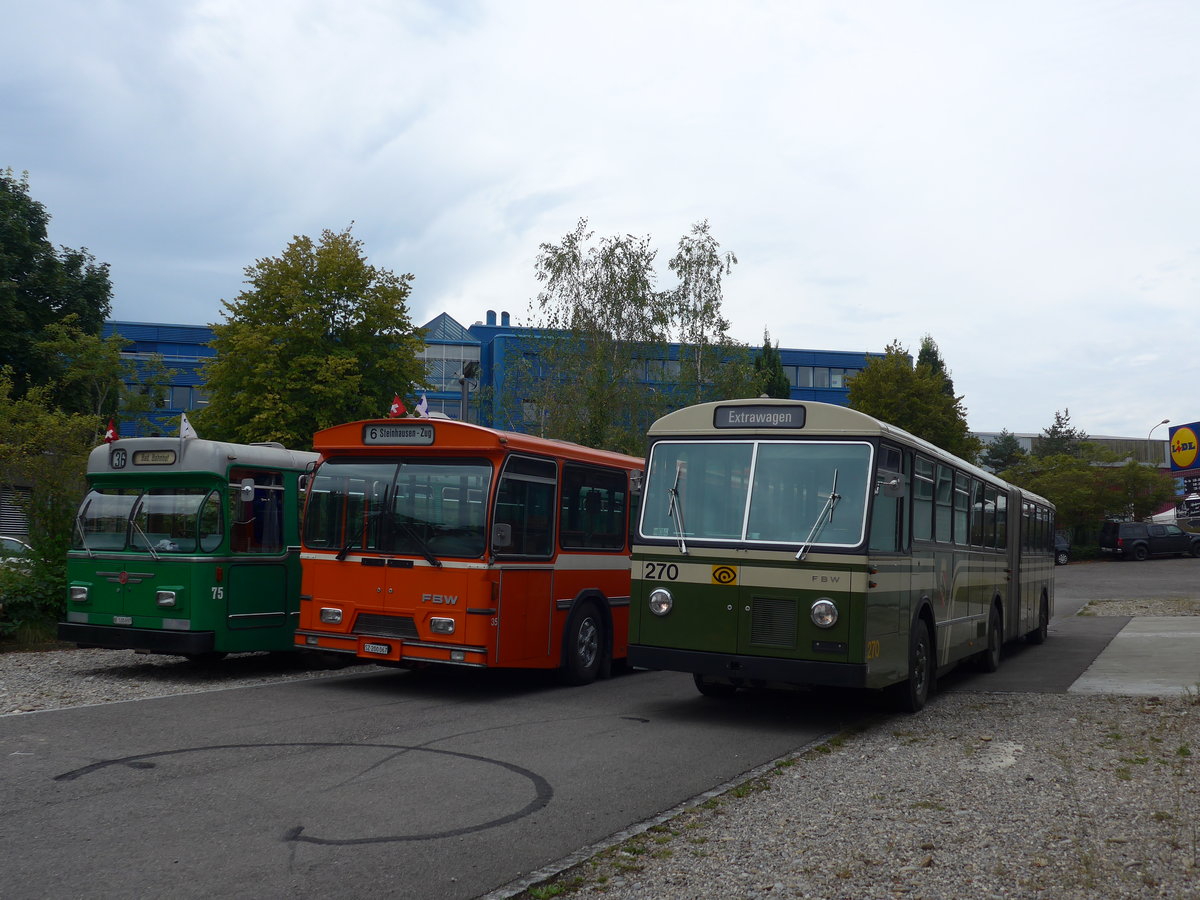 (174'491) - SVB Bern (TVB) - Nr. 270 - FBW/SWS-Gangloff am 4. September 2016 in Aarberg, Halle TVB