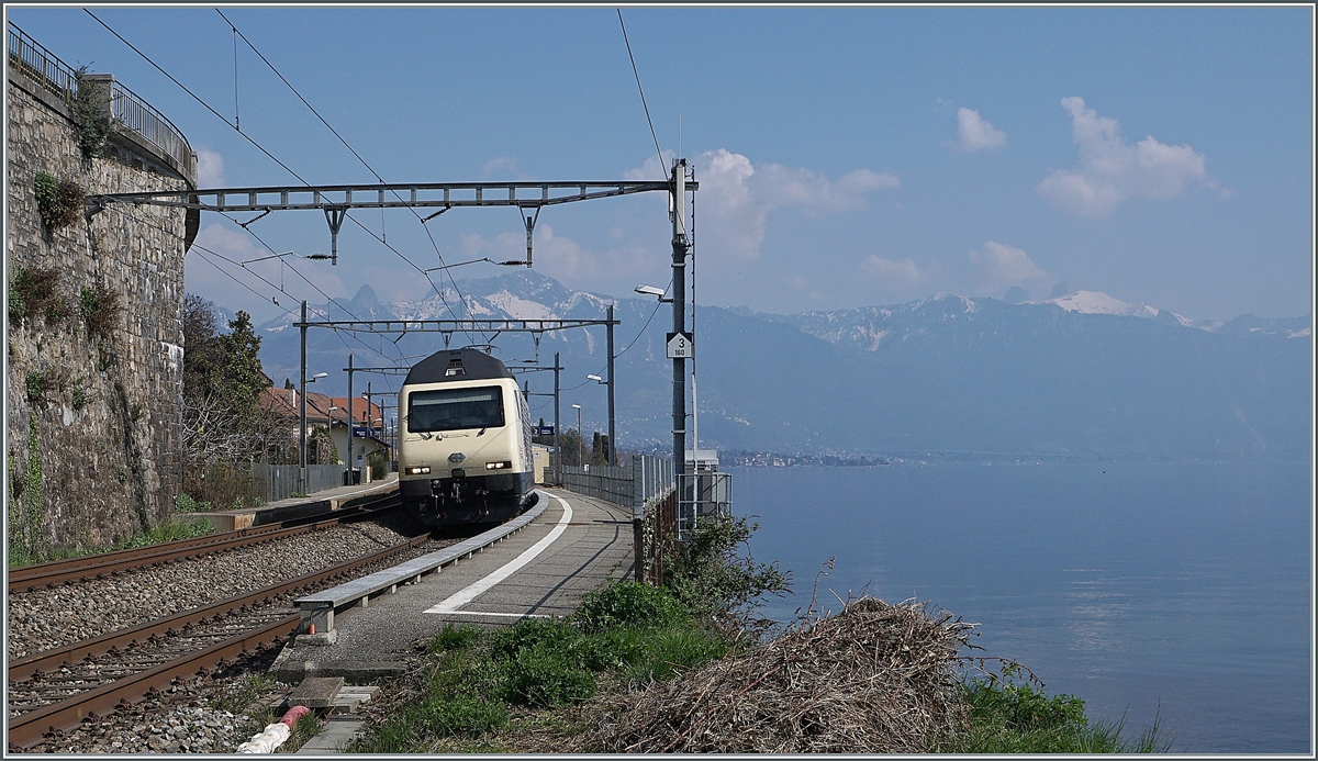 175 Jahre Schweizer Bahnen - Von vorne gefällt mir die Jubiläumslok mit der schlichen Farbe am Besten.

Die SBB Re 460 019 mit dem IR 90 1720 bei St-Saphorin. 

25. März 2022