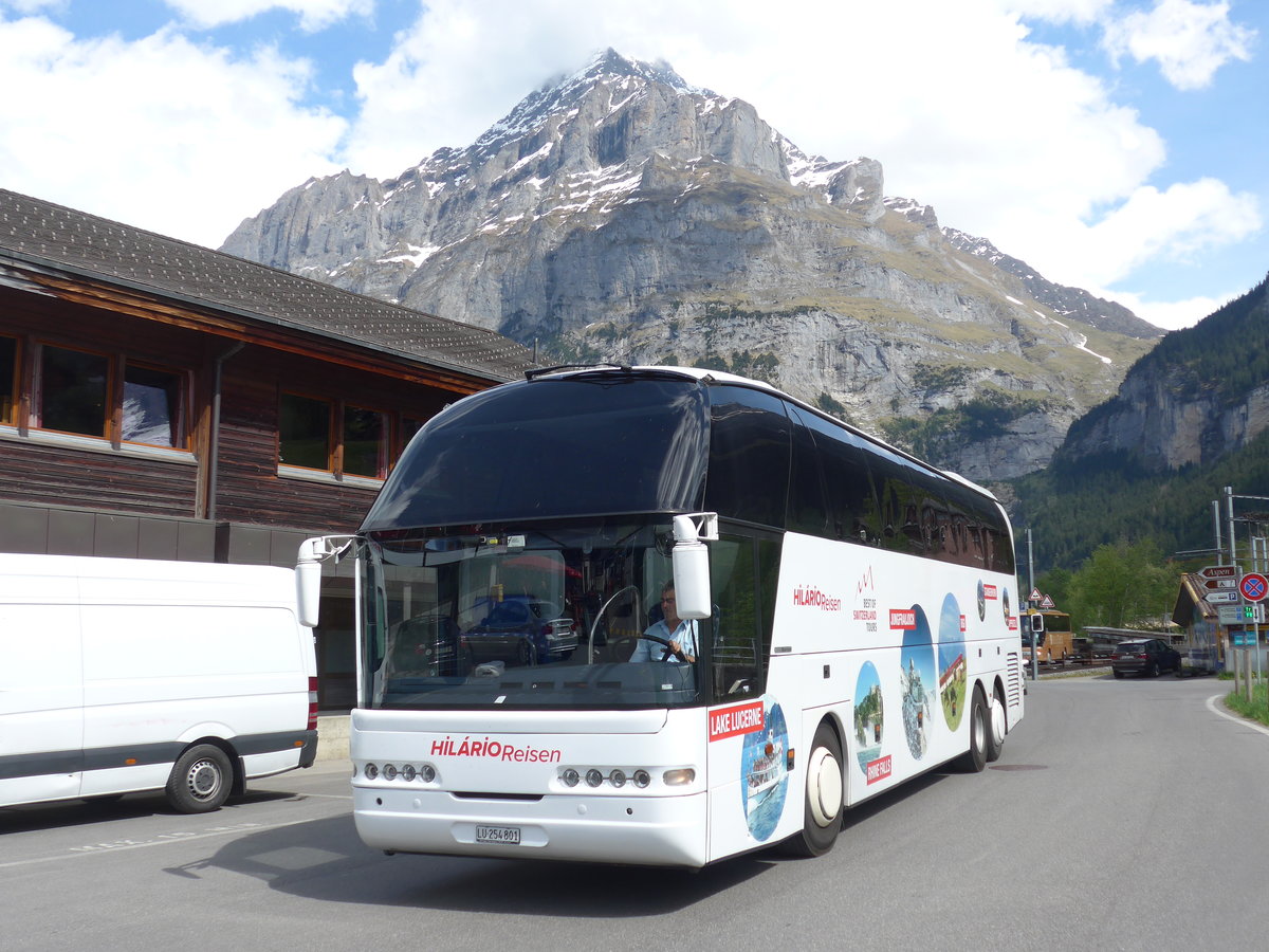 (180'746) - Hilrio, Schtz - LU 254'801 - Neoplan am 24. Mai 2017 in Grindelwald, Grund