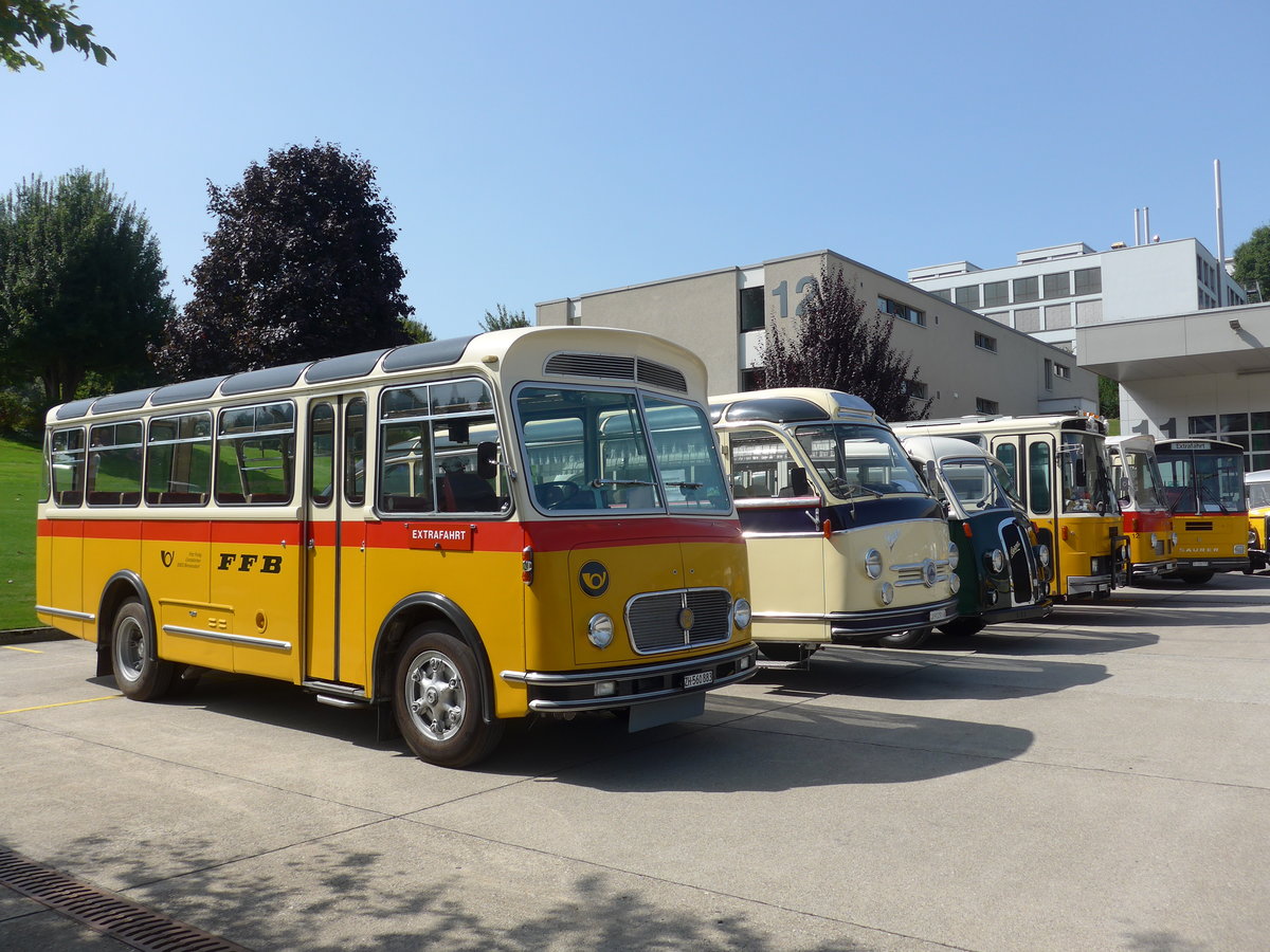 (184'476) - Frutig, Birmensdorf - ZH 560'883 - FBW/FHS (ex P 23'217) am 26. August 2017 in Oberkirch, CAMPUS Sursee