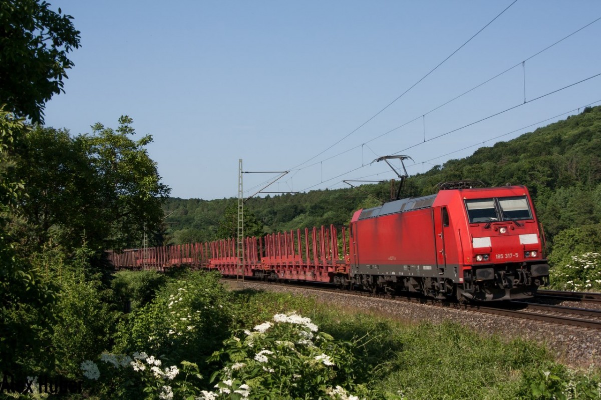 185 317 welche ohne den DB Keks durch die Lande saust konnte man am 05.06.15 in Saaleck Bildlich festhalten