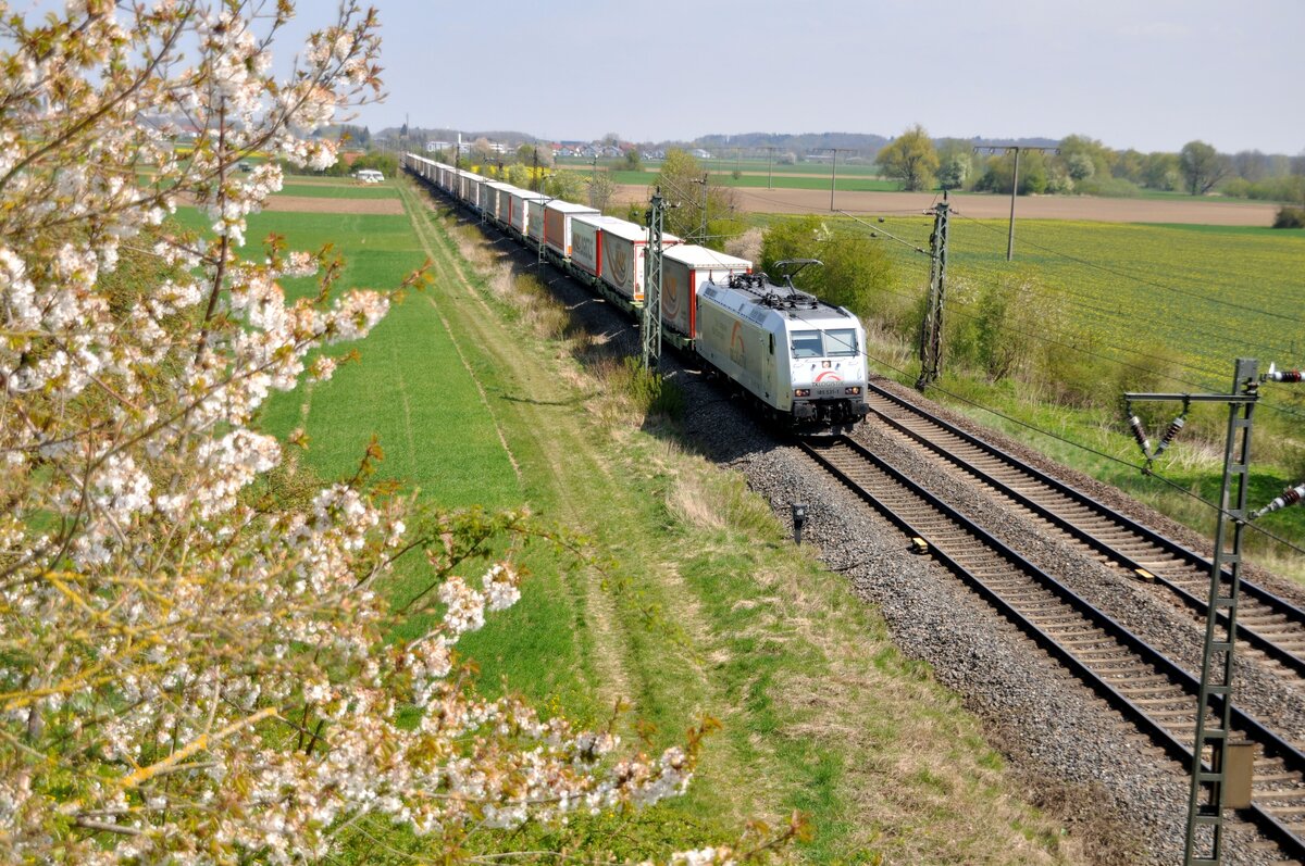 185 531-1 Tx Logistik mit Mars Containerzug bei Neu-Ulm Pfuhl am 22.04.2022.