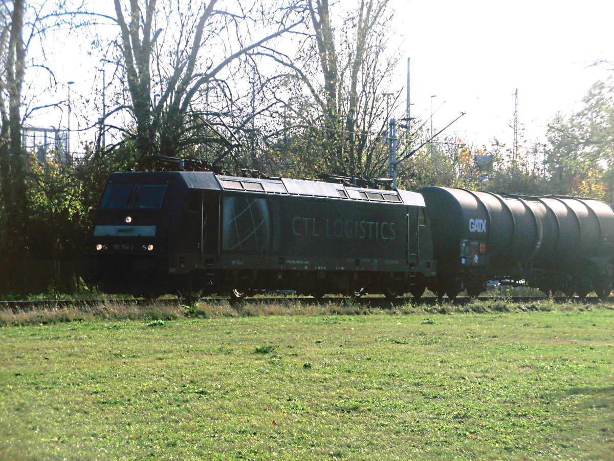 185 564 mit einen G�terzug in Delitzsch am 30.10.17