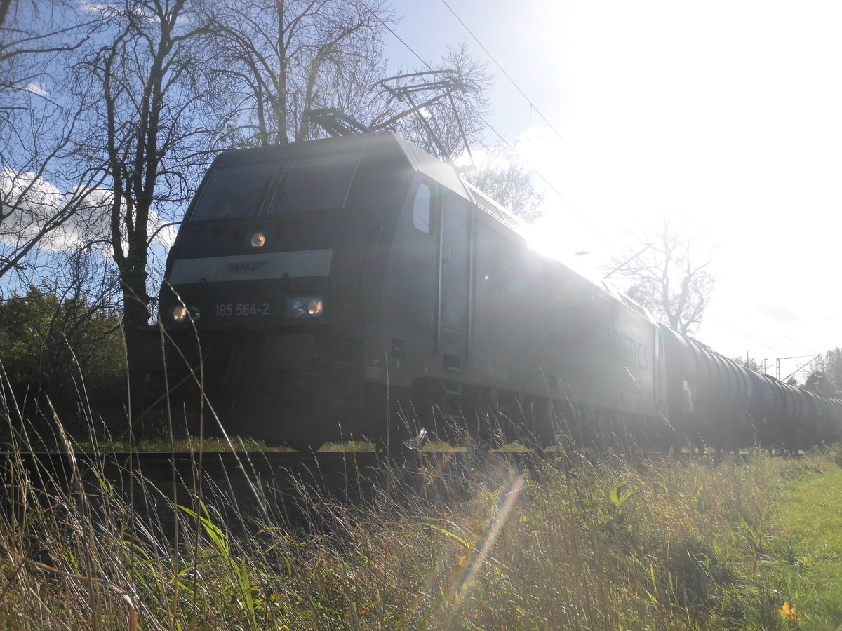 185 564 mit einen G�terzug in Delitzsch am 30.10.17