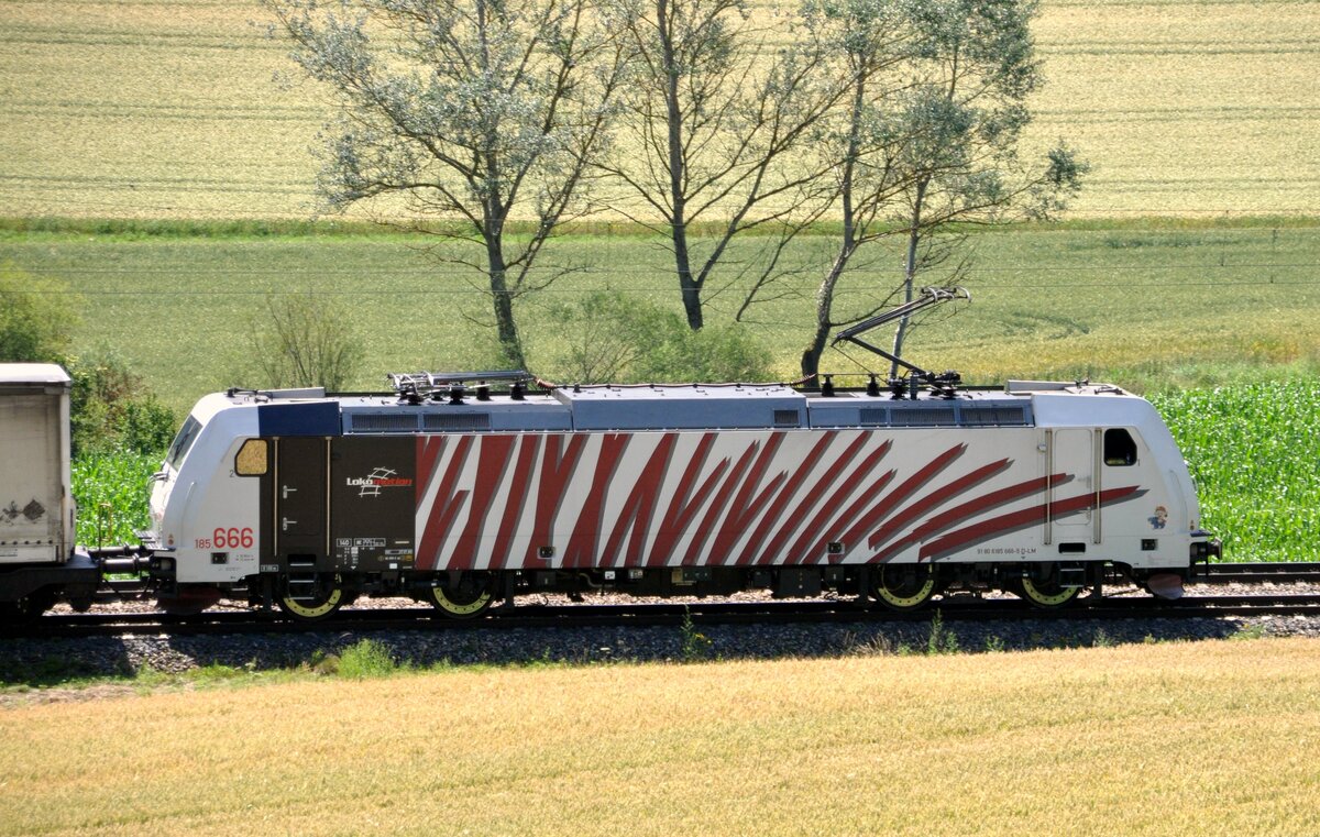 185 666-5 von Lokomotion mit Ekol Containerzug in Lonsee am 12.07.2011.