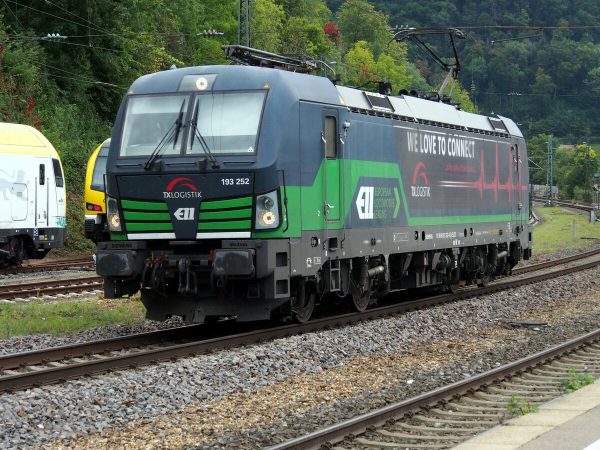 193 252 Vectron TX Logitik in Geislingen Steige am 02.10.2021.