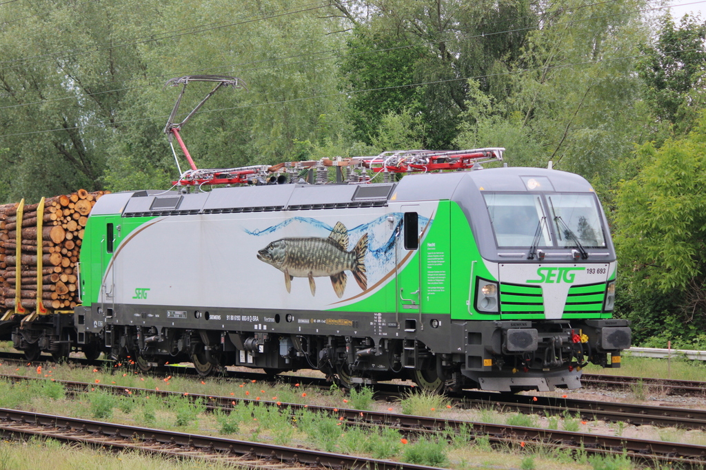 193 693-3 stand am Vormittag des 06.06.2022 mit Holzzug von WRB nach LNOE in WRB.