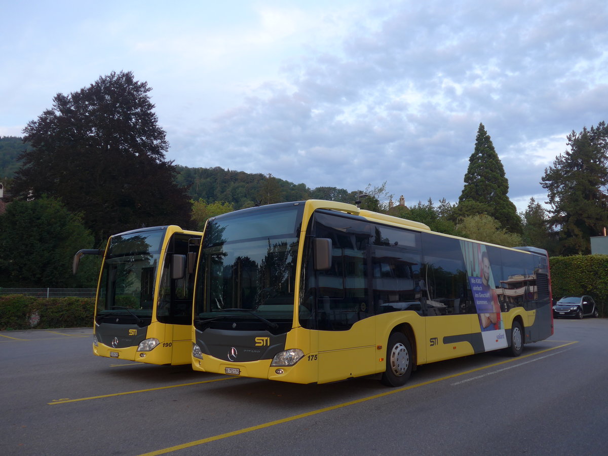 (195'239) - STI Thun - Nr. 175/BE 752'175 - Mercedes am 28. Juli 2018 bei der Schiffl�ndte Thun