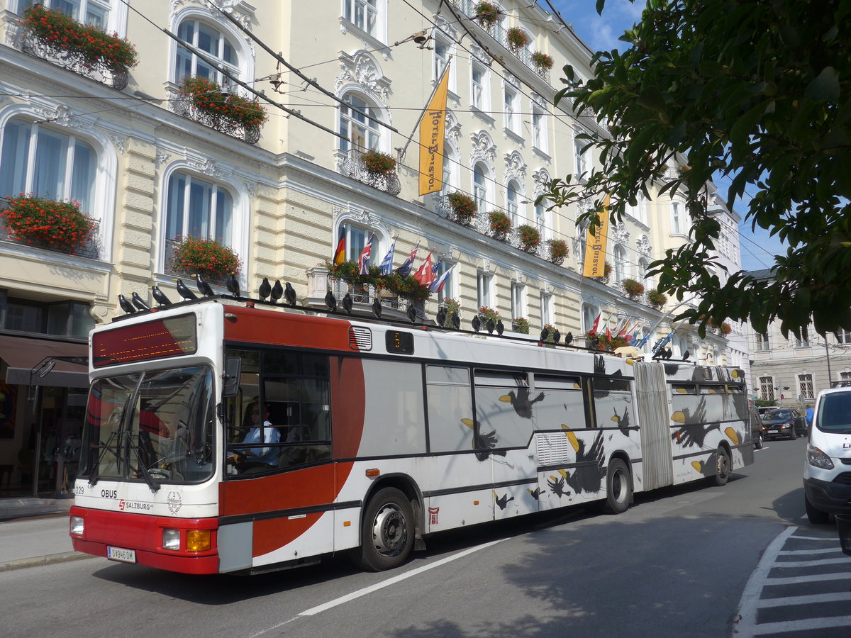 (197'268) - OBUS Salzburg - Nr. 229/S 946 DM - Gr�f&Stift Gelenktrolleybus (ex Nr. 9469) am 13. September 2018 in Salzburg, Makartplatz