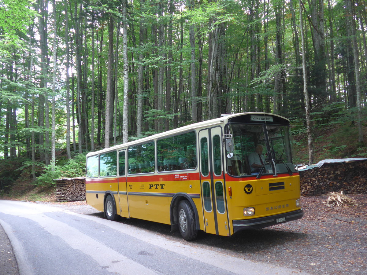 (197'742) - Schmid, Th�rishaus - BE 26'206 - Saurer/T�scher (ex P 24'244) am 16. September 2018 bei Geissholz
