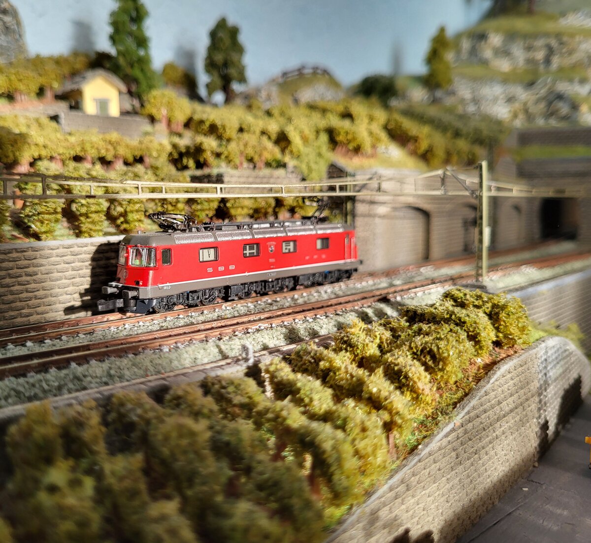 2. DEZEMBER TAG DER MODELLEISENBAHN: Auf meiner Z Bahn Anlage ist die Re 6/6als Lokzug unterwegs.
2. Dez. 2024