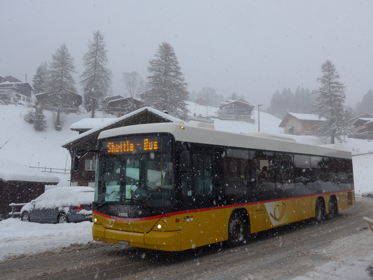 (201'103) - Steiner, Messen - SO 20'145 - Scania/Hess am 13. Januar 2019 in Adelboden, Oey