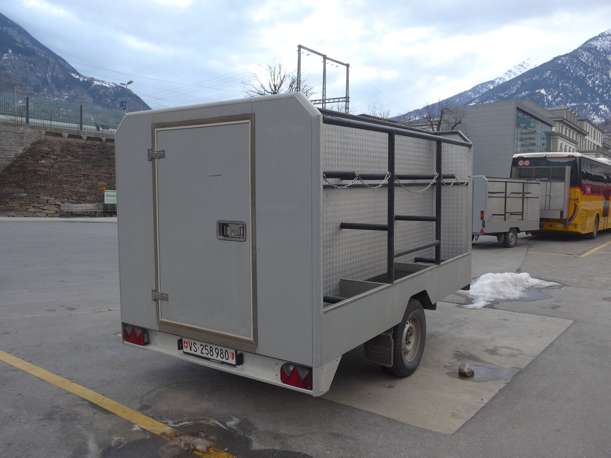 (201'362) - PostAuto Wallis - VS 258'980 - Car-Tech Gep�ckanh�nger am 27. Januar 2019 beim Bahnhof Brig