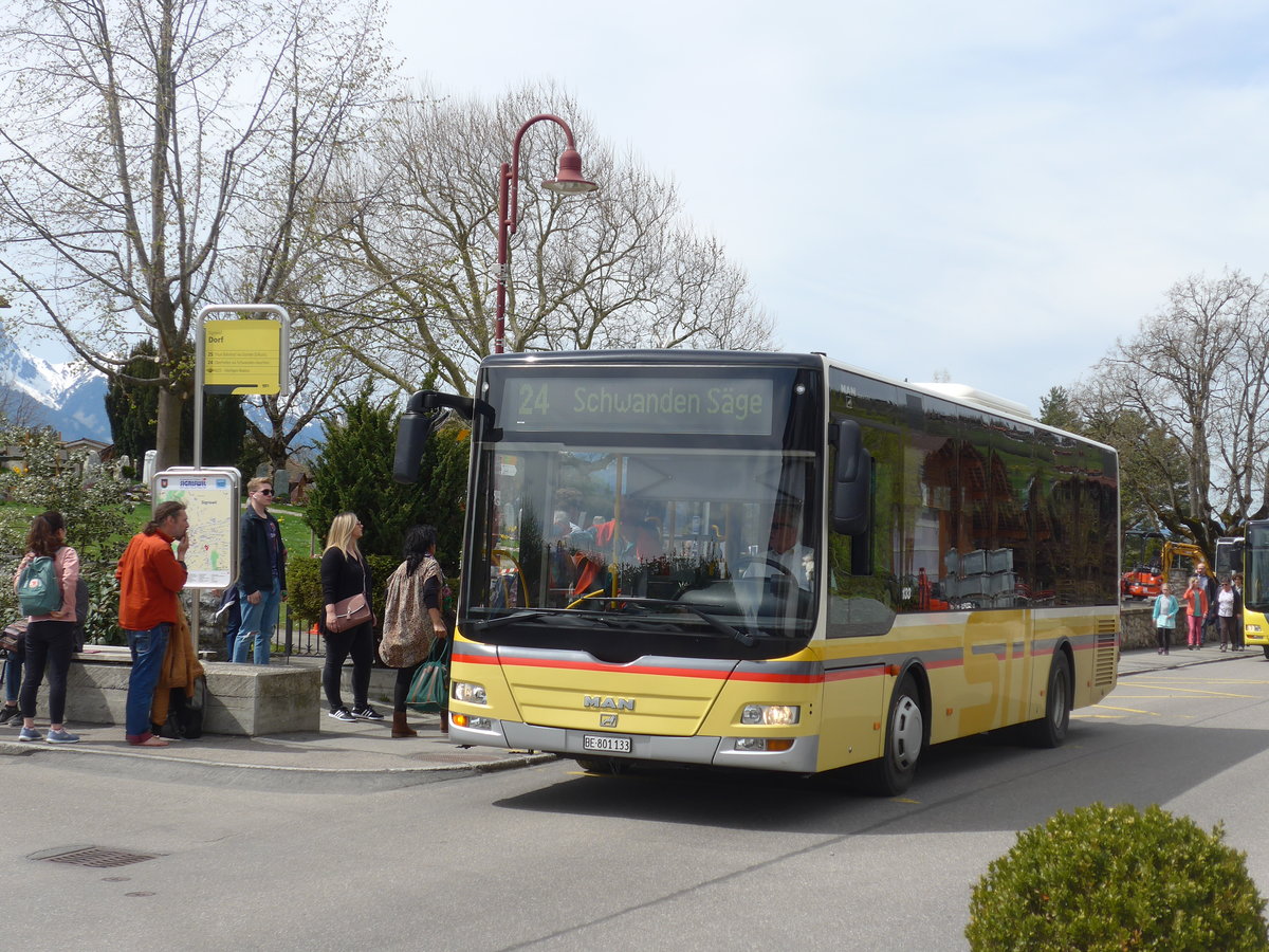 (203'863) - STI Thun - Nr. 133/BE 801'133 - MAN/G�ppel am 21. April 2019 in Sigriswil, Dorf