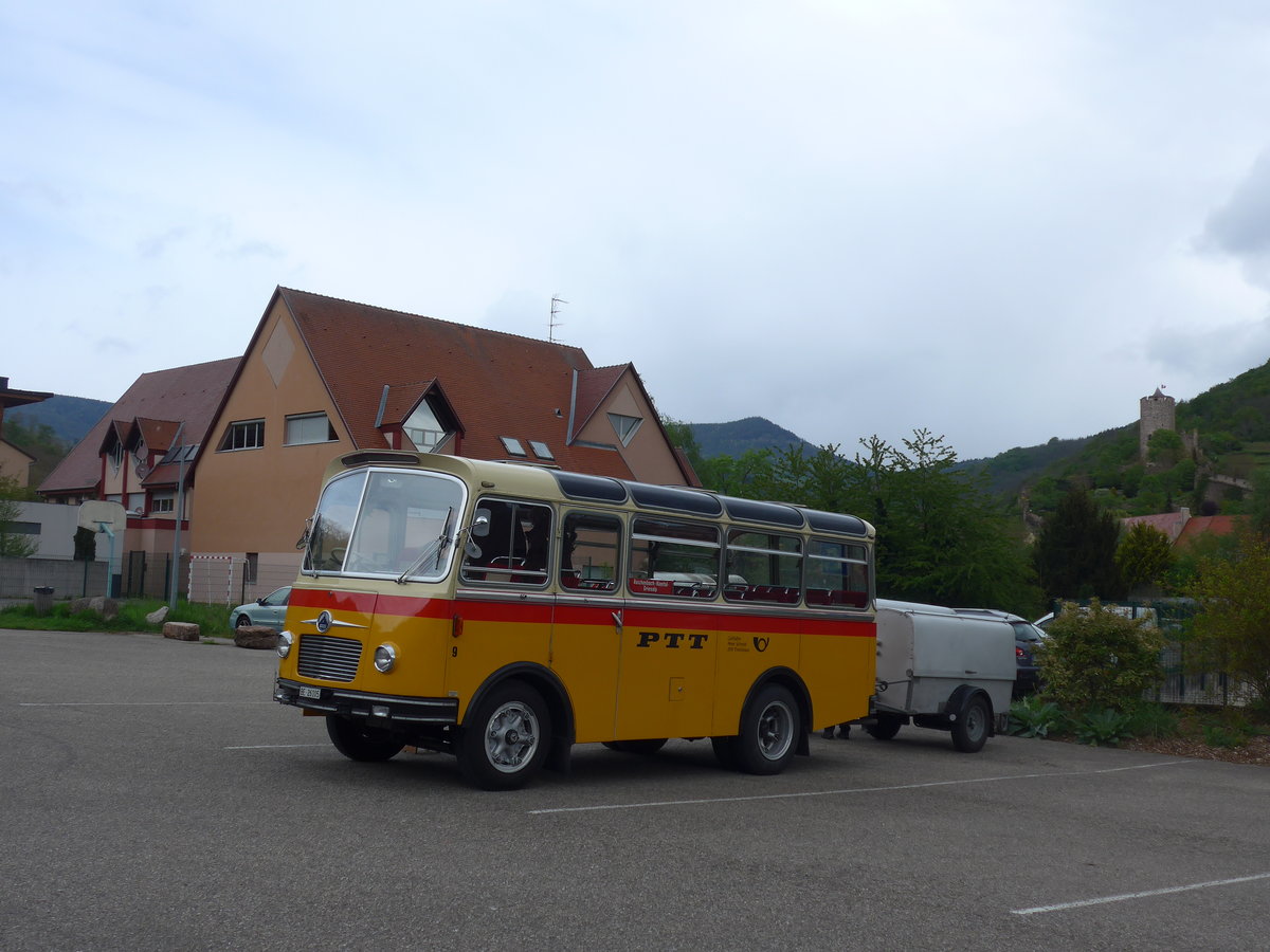 (204'534) - Aus der Schweiz: Schmid, Th�rishaus - Nr. 9/BE 26'105 - Saurer/R&J (ex Geiger, Adelboden Nr. 9) am 28. April 2019 in Kaysersberg, Rocade Verte
