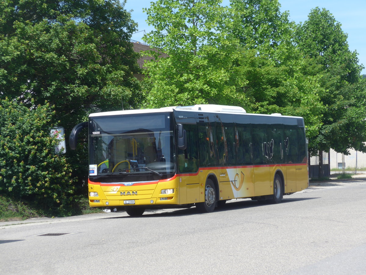 (206'828) - CarPostal Ouest - JU 31'988 - MAN am 24. Juni 2019 beim Bahnhof Moudon