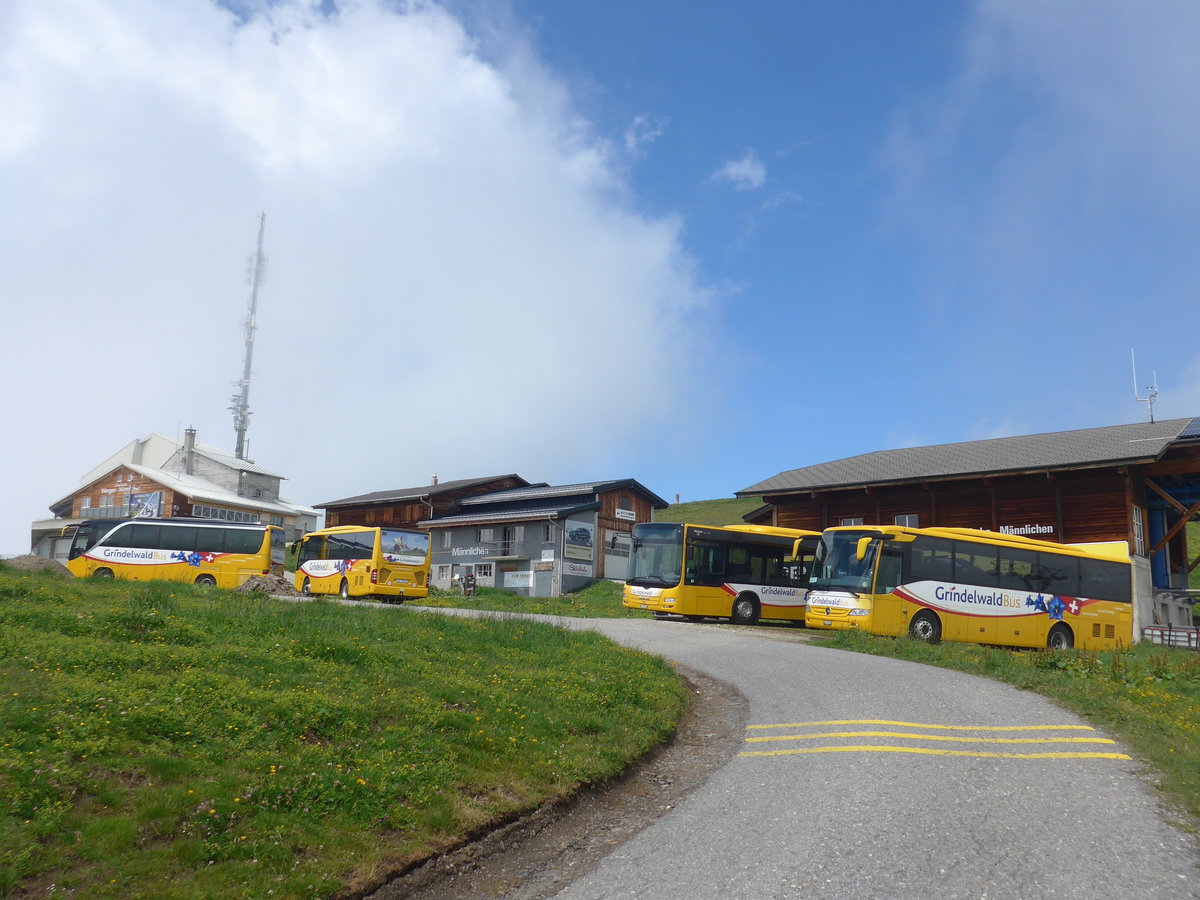(207'710) - AVG Grindelwald - Nr. 26/BE 268'737 - Setra + Nr. 25/BE 73'249 - Mercedes + Nr. 19/BE 363'305 - MAN/G�ppel + Nr. 30/BE 171'240 - Mercedes am 9. Juli 2019 auf dem M�nnlichen