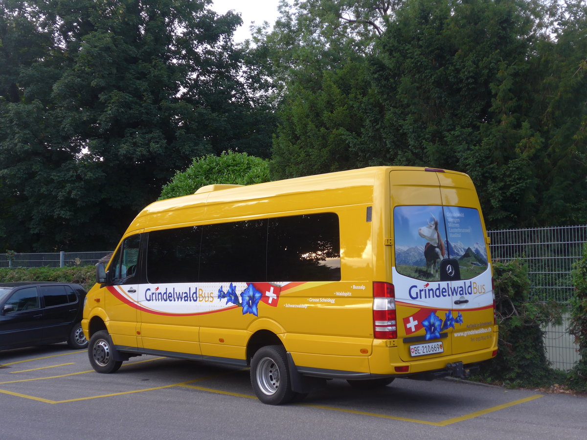 (207'986) - AVG Grindelwald - BE 210'669 - Mercedes (ex Loretan, Inden) am 20. Juli 2019 bei der Schiffl�ndte Thun