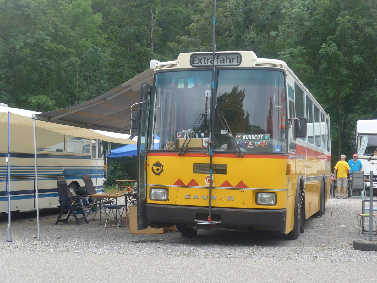 (208'823) - Toldo, Zrich - ZH 124'701 - Saurer/R&J (ex Peter, Pfaffnau) am 17. August 2019 in Atzmnnig, Schutt