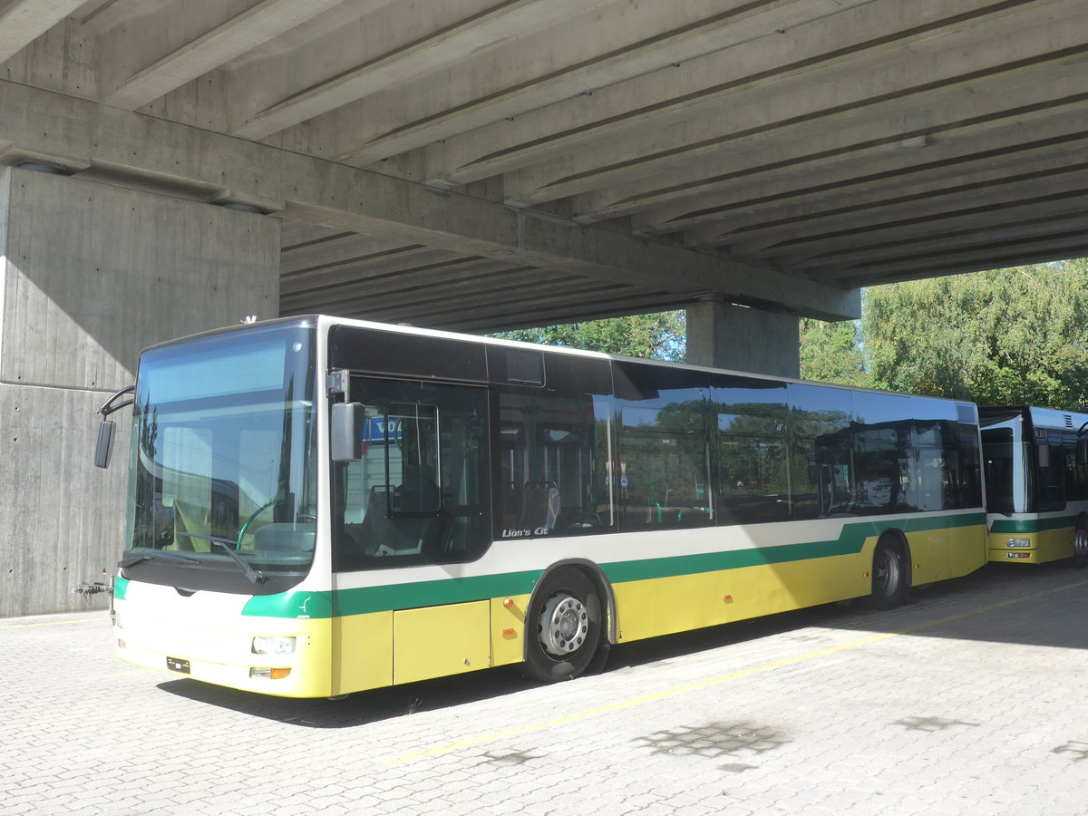 (209'672) - transN, La Chaux-de-Fonds - Nr. 207 - MAN (ex TN Neuch�tel Nr. 207) am 15. September 2019 in Kerzers, Murtenstrasse
