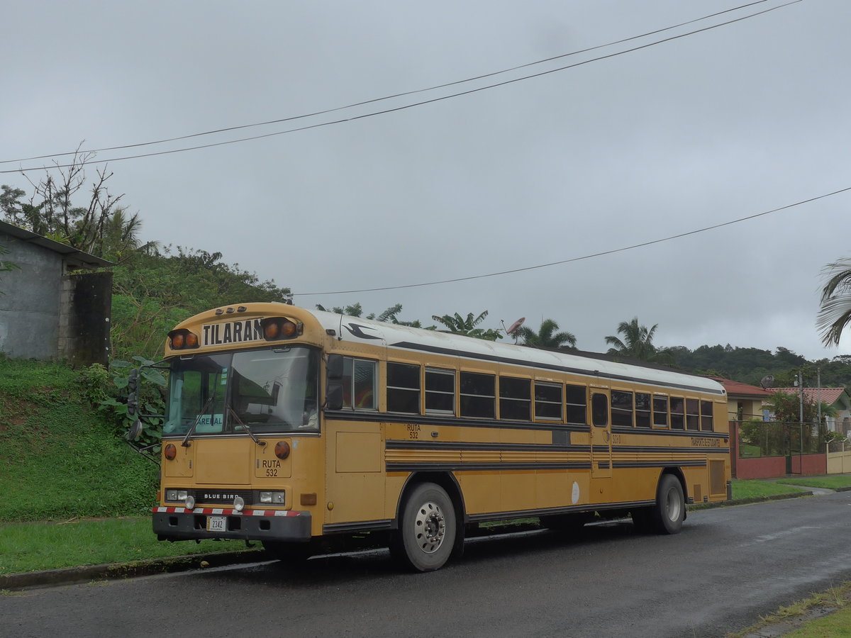 (211'314) - Transportes Tilarn, Tilarn - 2342 - Bluebird am 15. November 2019 in Nuevo Arenal