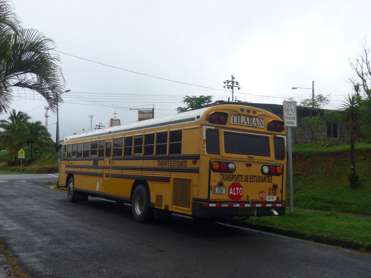(211'315) - Transportes Tilar�n, Tilar�n - 2342 - Bluebird am 15. November 2019 in Nuevo Arenal
