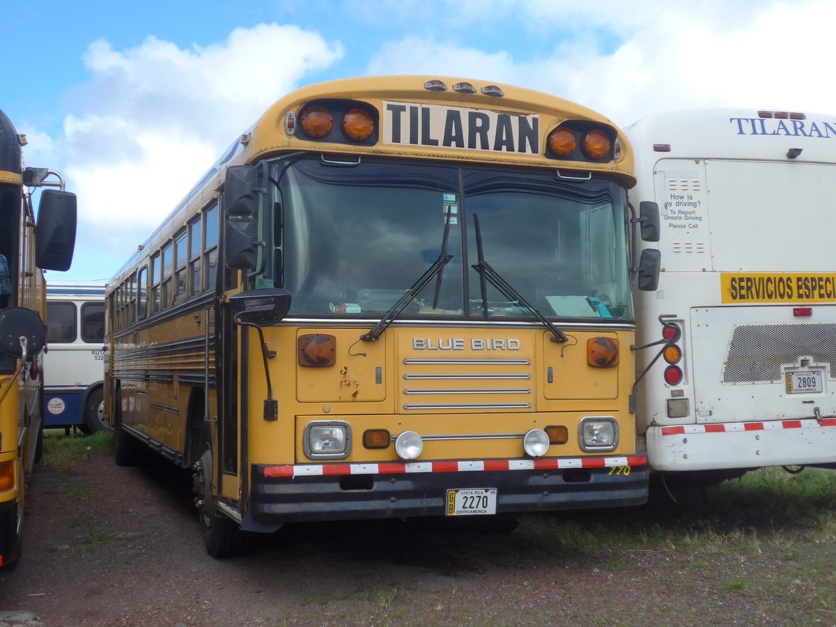 (211'843) - Transportes Tilarn, Tilarn - 2270 - Bluebird am 21. November 2019 in Tilarn, Freigelnde