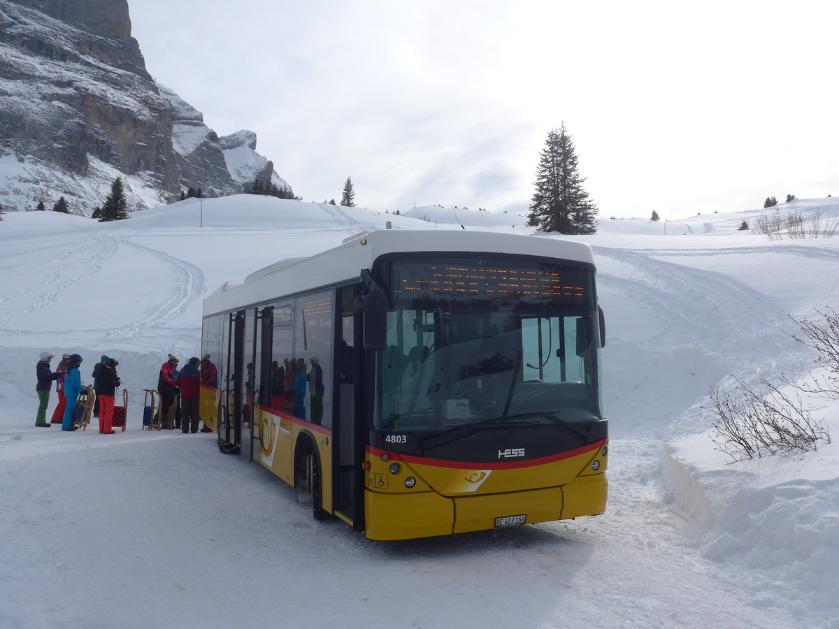 (215'089) - PostAuto Bern - BE 403'166 - Scania/Hess (ex AVG Meiringen Nr. 66; ex Steiner, Messen) am 8. Mrz 2020 in Grindelwald, Schrmstutz