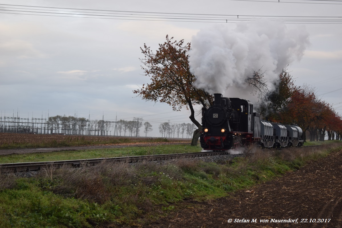 22.10.2017: Der Güterzug mit Lok 20 fährt am frühen Abend zwischen den Stationen Zirkelschacht und Bocksthal entlang der Kirschbaumallee in Richtung Bocksthal.