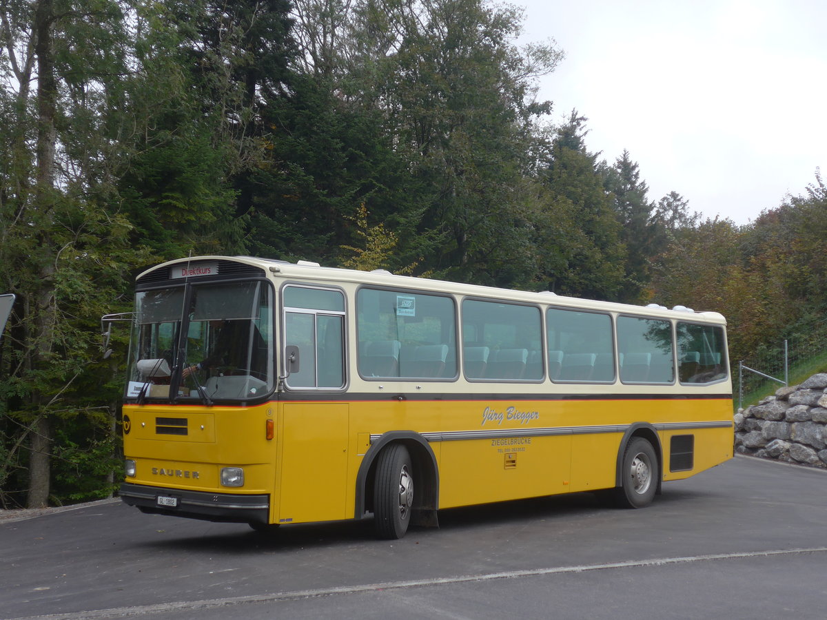 (221'974) - Biegger, Uster - Nr. 9/GL 1802 - Saurer/R&J (ex P 24'366) am 18. Oktober 2020 in Mhlrti, Hulftegg