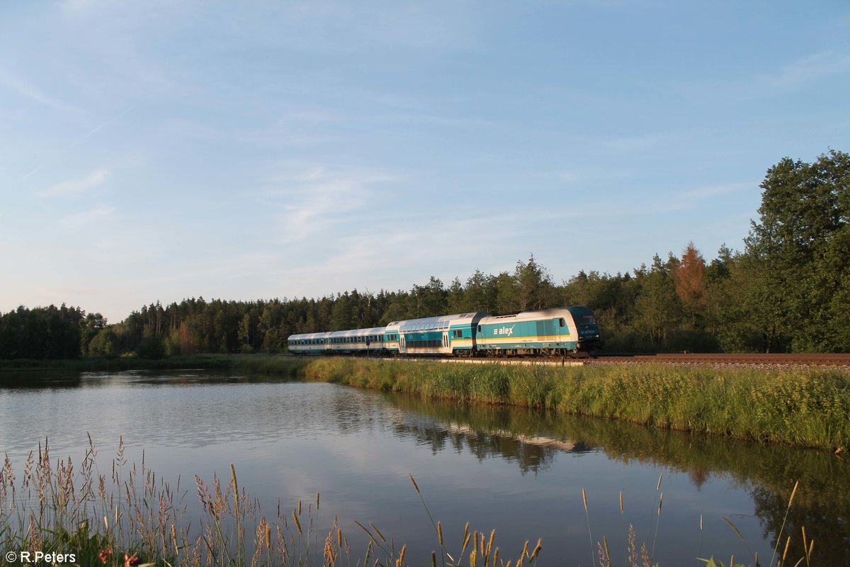 223 062 zieht den ALX79882 Hof - Mnchen sdlich von Wiesau. 17.06.19