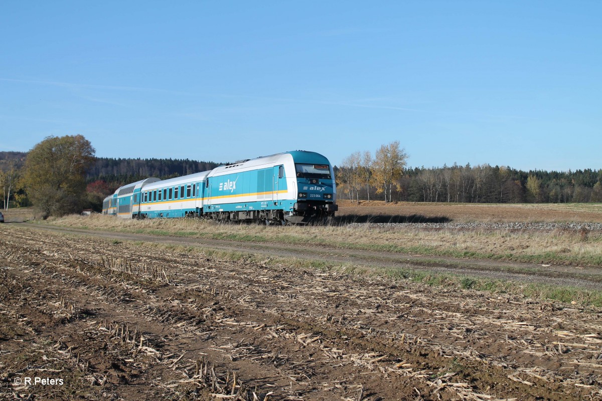 223 064 mit AX84135 Hof - Mnchen bei Oberteich. 31.10.13