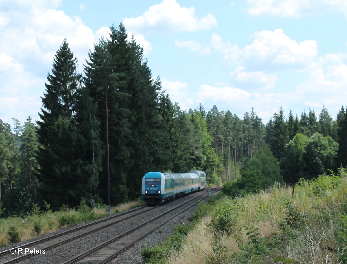 223 064 mit dem ALX84106 München - Hof kurz vor Pechbrunn. 19.07.16