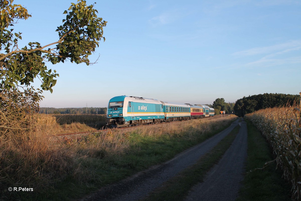 223 064 mit dem ALX84110 Mnchen - Hof bei Oberteich. 03.10.13