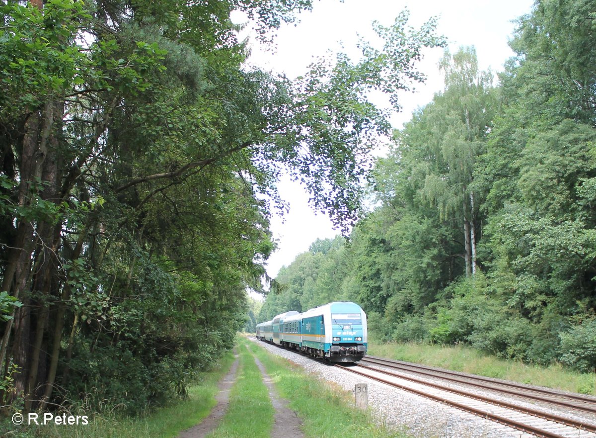 223 064 zieht südlich von Wiesau den ALX84115 Hof - München . 16.07.16