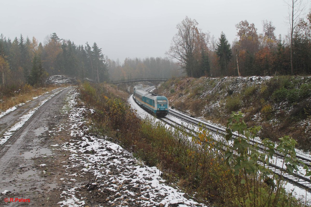 223 065 als ALX84106 München - Hof kurz nach Wiesau. 11.11.16